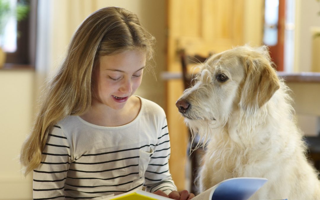 Dogs and Reading: an Alternative Method to Boost Confidence